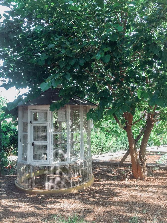 Agrilia Maison Razáta 외부 사진